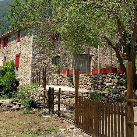 Mas Graffouil Daire Prats-de-Mollo-la-Preste Dış mekan fotoğraf