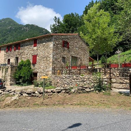 Mas Graffouil Daire Prats-de-Mollo-la-Preste Dış mekan fotoğraf