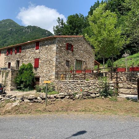Mas Graffouil Daire Prats-de-Mollo-la-Preste Dış mekan fotoğraf