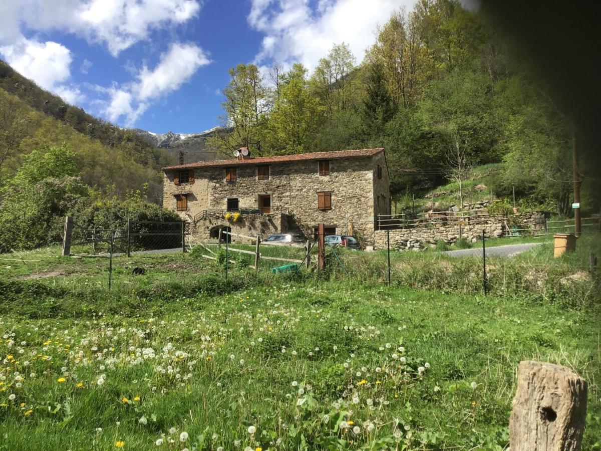 Mas Graffouil Daire Prats-de-Mollo-la-Preste Dış mekan fotoğraf