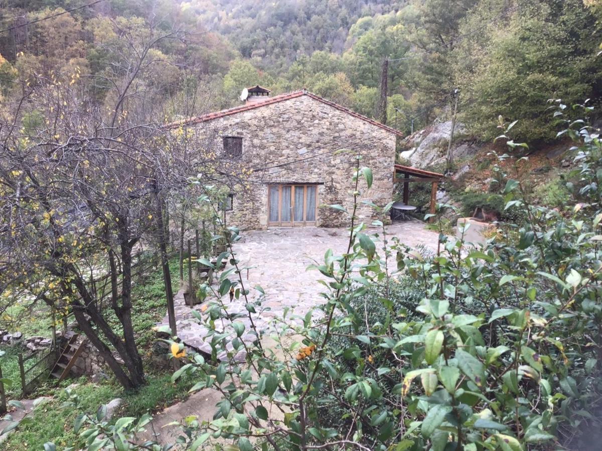 Mas Graffouil Daire Prats-de-Mollo-la-Preste Dış mekan fotoğraf