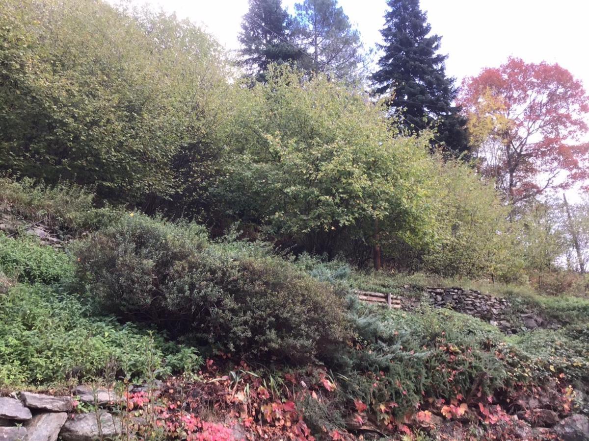 Mas Graffouil Daire Prats-de-Mollo-la-Preste Dış mekan fotoğraf
