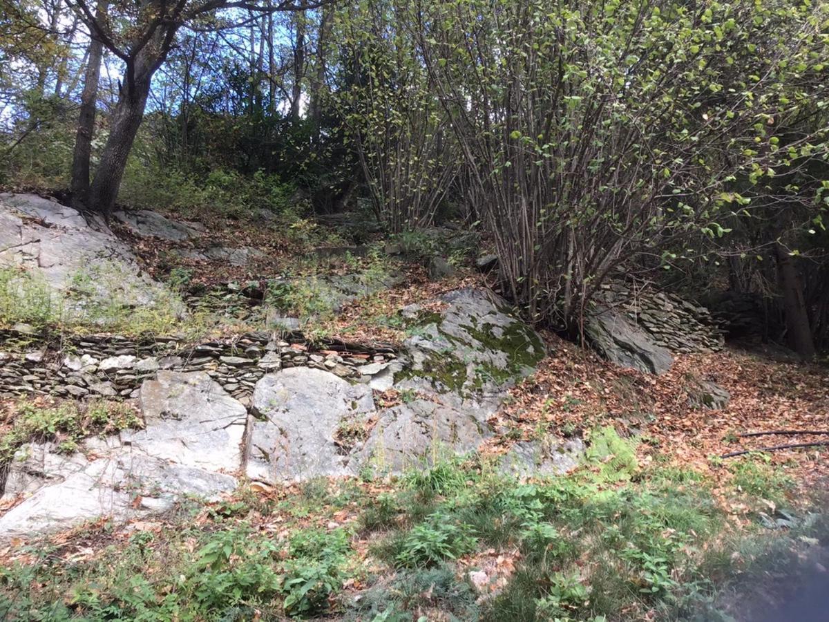 Mas Graffouil Daire Prats-de-Mollo-la-Preste Dış mekan fotoğraf