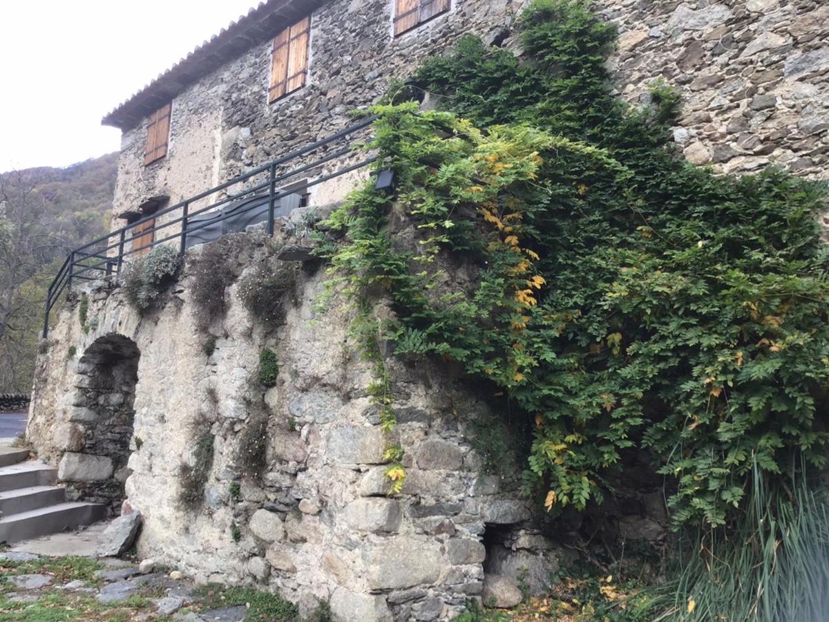 Mas Graffouil Daire Prats-de-Mollo-la-Preste Dış mekan fotoğraf