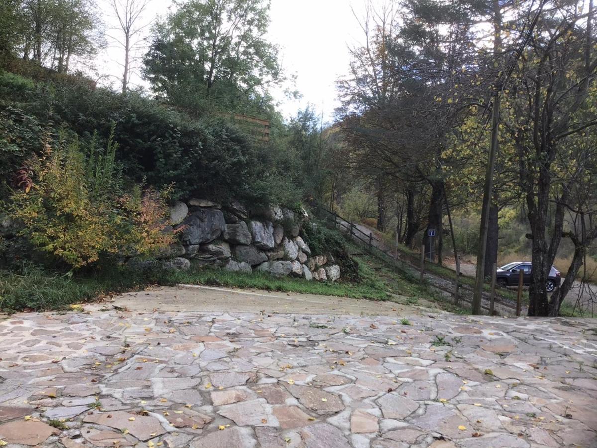 Mas Graffouil Daire Prats-de-Mollo-la-Preste Dış mekan fotoğraf